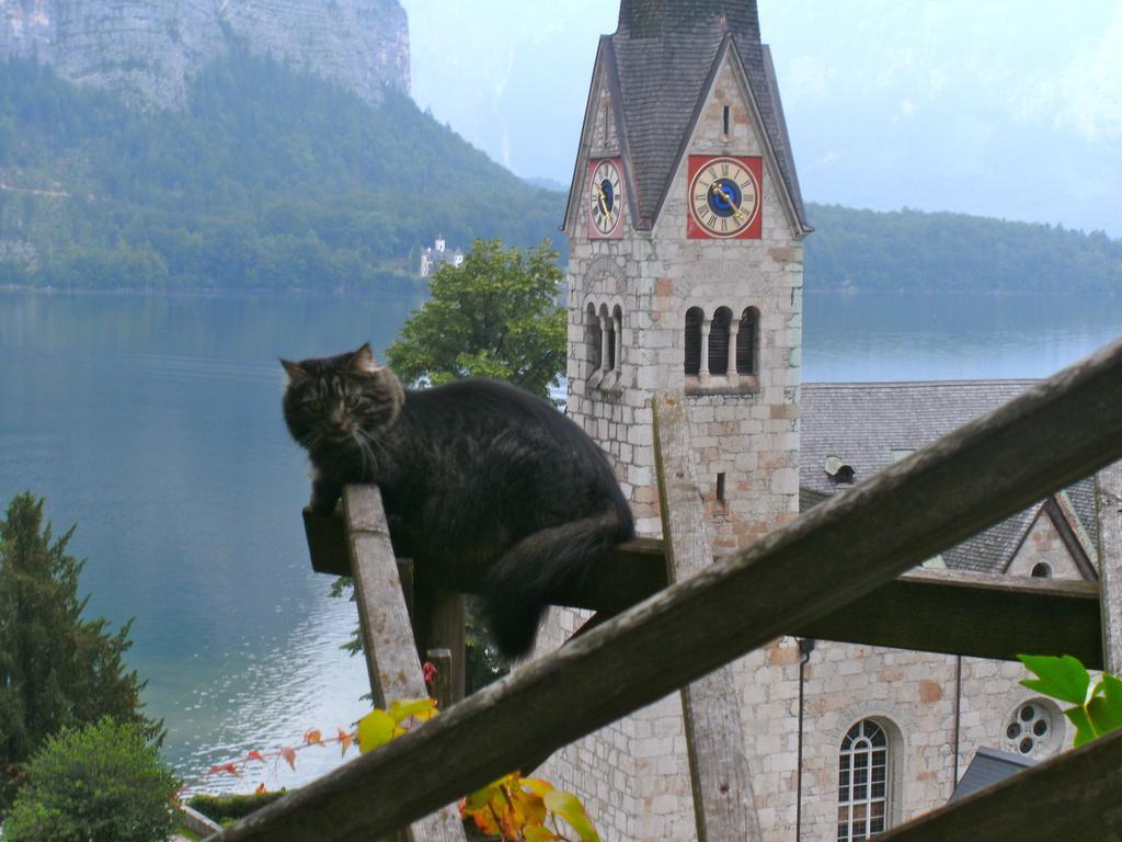 Appartamento Haus Salzberg Hallstatt Esterno foto